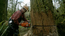 Ax Men - Episode 9 - Snappin' Trees