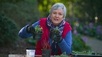 Gardening Australia - Episode 32