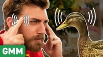 Good Mythical Morning - Episode 67 - Herding Ducks For A Day