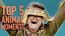 Good Mythical Morning - Episode 93 - Top 5 GMM Animal Moments (2018)