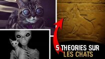 5 THEORIES - Episode 13