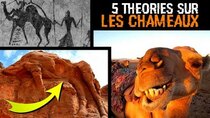 5 THEORIES - Episode 65