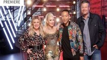 The Voice - Episode 1 - The Blind Auditions Season Premiere