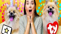 Totally Trendy - Episode 83 - Making Halloween Costumes For My Dog!