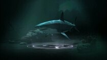 MonsterQuest - Episode 1 - Monster Sharks