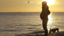 BBC Documentaries - Episode 193 - Seahorse: The Dad Who Gave Birth