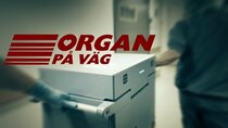 Vetenskapens värld - Episode 26 - Organs on the way