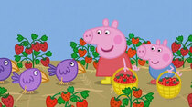 Peppa Pig - Episode 16 - Strawberries