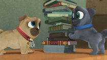 Puppy Dog Pals - Episode 59 - To the Library!