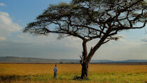 Nature - Episode 2 - The Serengeti Rules
