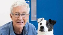 Paul O'Grady: For the Love of Dogs - Episode 1