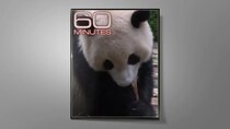 60 Minutes - Episode 5 - Joe Biden, The Emerald Triangle, Giant Panda