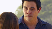 Home and Away - Episode 204