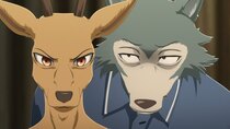 Beastars - Episode 8 - Caught Like Floss in a Canine's Teeth