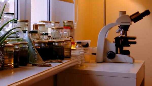 Journey to the Microcosmos - S01E24 - What Microscope Do We Use? (And Other Frequently Asked Questions)