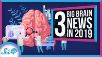 SciShow Psych - Episode 1 - 3 Big Things We Learned About the Brain in 2019