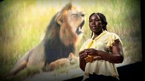 TED Talks - Episode 214 - Moreangels Mbizah: How community-led conservation can save wildlife