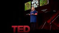 TED Talks - Episode 223 - Laura Boykin: How we're using DNA tech to help farmers fight...