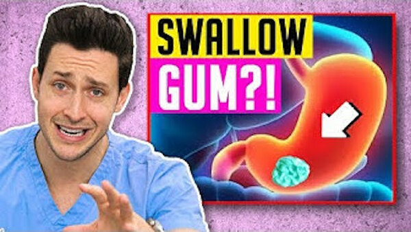 Doctor Mike - S03E98 - The TRUTH About Swallowing Gum | Responding To Comments #16