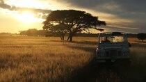 BBC Documentaries - Episode 242 - Unlocking Nature's Secrets: The Serengeti Rules