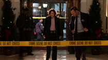 Blue Bloods - Episode 10 - Bones to Pick