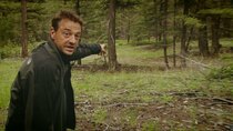 Tomtesterom - Episode 6 - Hoe overleef je in een bos?