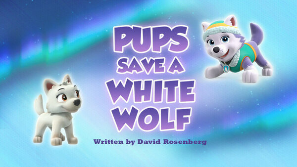 Paw Patrol - S06E37 - Pups Save the Squirrels