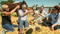 The Farmers' Country Showdown - Episode 6 - Launceston - Cattle
