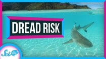 SciShow Psych - Episode 3 - Why You're More Afraid of Sharks Than Cows