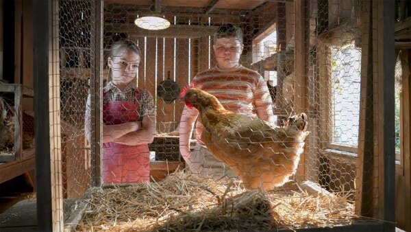Young Sheldon - S03E11 - A Live Chicken, a Fried Chicken, and Holy Matrimony