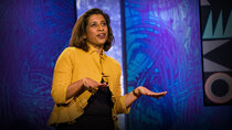 TED Talks - Episode 121 - Chitra Aiyar: How to build community when you feel isolated