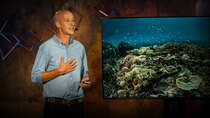 TED Talks - Episode 234 - Alasdair Harris: How a handful of fishing villages sparked a...