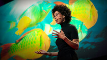 TED Talks - Episode 235 - Ayana Elizabeth Johnson: A love story for the coral reef crisis
