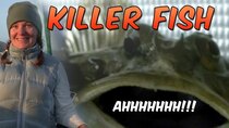 DrakeParagon - Episode 28 - Killer Fish