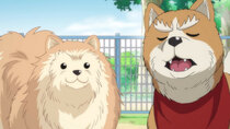 Oda Shinamon Nobunaga - Episode 3 - Canine Lords, and Battle of Okehazama Returns?