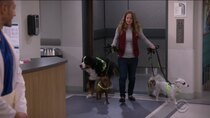 Carol's Second Act - Episode 9 - Therapy Dogs