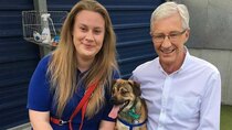 Paul O'Grady: For the Love of Dogs - Episode 4