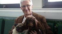 Paul O'Grady: For the Love of Dogs - Episode 8