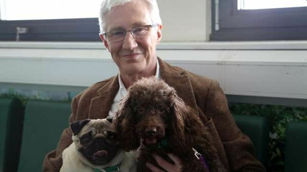 Paul O'Grady: For the Love of Dogs - S06E08 - 