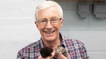 Paul O'Grady: For the Love of Dogs - Episode 3