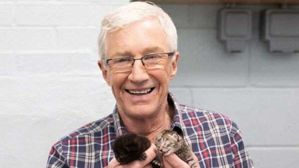 Paul O'Grady: For the Love of Dogs - S08E03 - 