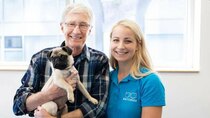 Paul O'Grady: For the Love of Dogs - Episode 4