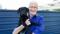 Paul O'Grady: For the Love of Dogs - Episode 6