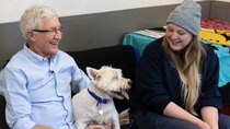 Paul O'Grady: For the Love of Dogs - Episode 8