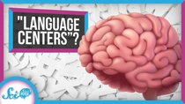 SciShow Psych - Episode 8 - What We Often Get Wrong About the Brain's Language Centers