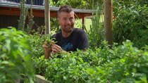 Better Homes and Gardens - Episode 43