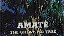 Nature - Episode 4 - Amate: The Great Fig Tree