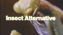 NOVA - Episode 16 - Insect Alternative