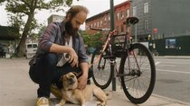 High Maintenance - Episode 1 - Cycles