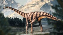 Eons - Episode 5 - A Short Tale About Diplodocus' Long Neck